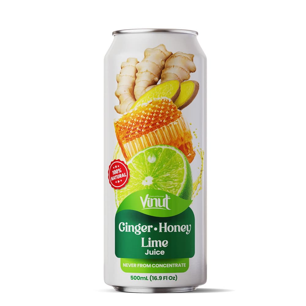 VINUT Suco 100% Natural de Gengibre, Mel e Limão - Não Concentrado 16.9 fl oz